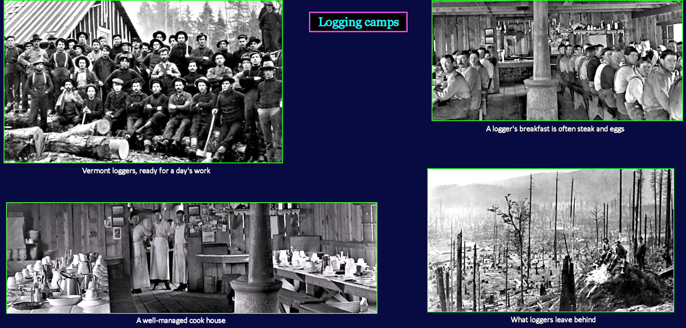 Logging camps and lumberjacks, 1910
